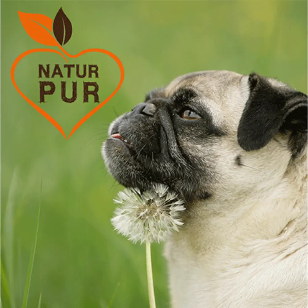 Fit-Crock Sensitive Lamm Mini Hundefutter - Natur pur