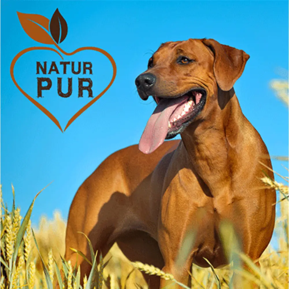 Fit-Crock Basic Rind Maxi Hundefutter - Natur pur