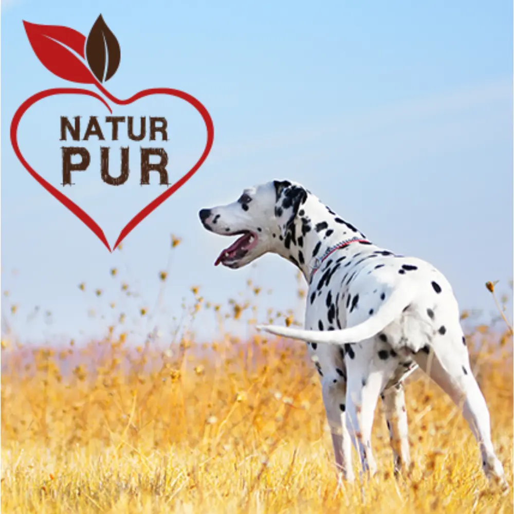Fit-Crock Spezial Rind Hundefutter - Natur pur