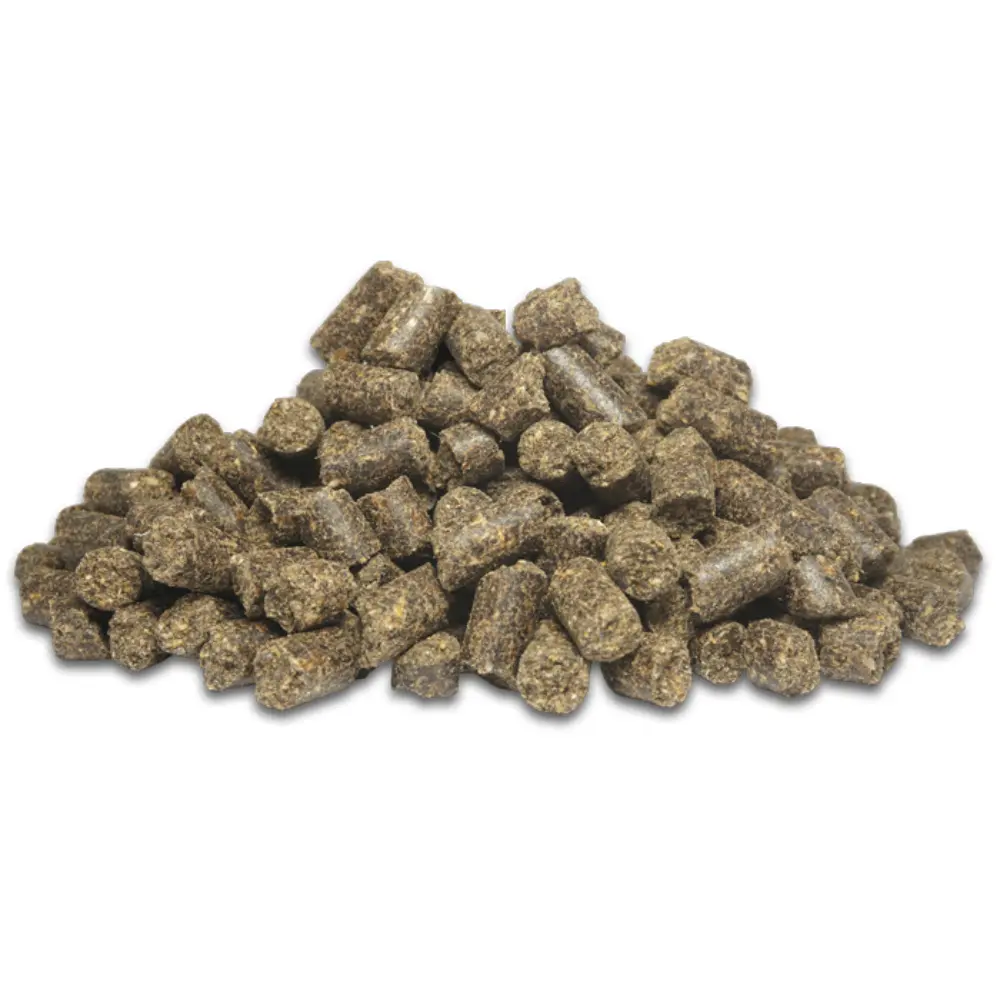 Fit-Crock Puppy Lamm Hundefutter für heranwachsende Hunde unverpackt