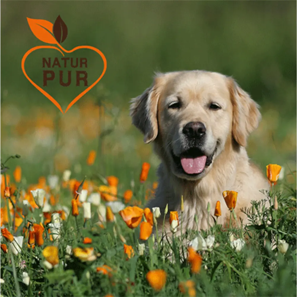 Fit-Crock Sensitive Lamm Maxi Hundefutter - Natur pur
